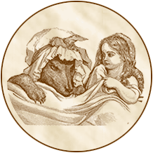 Picture of Wolf in Bed with a Young Girl